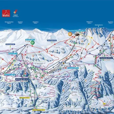 Camelot 3 Lejlighed Bettmeralp